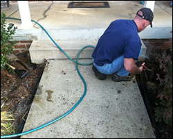 Dead animal removal Luray VA