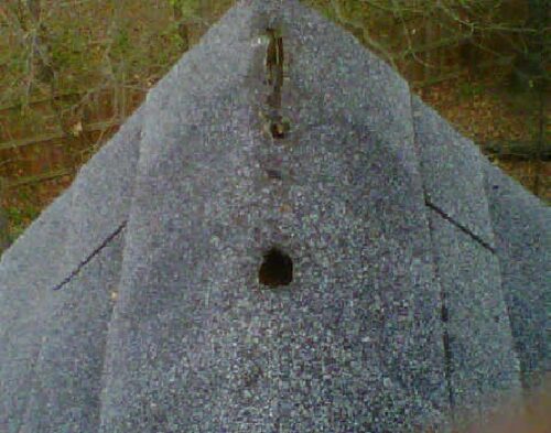 Entrance to a Bat den on the roof